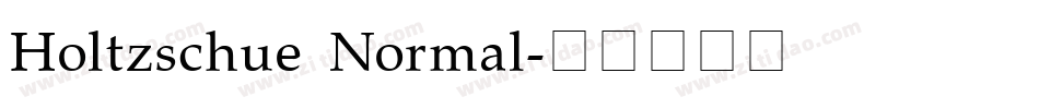 Holtzschue Normal字体转换